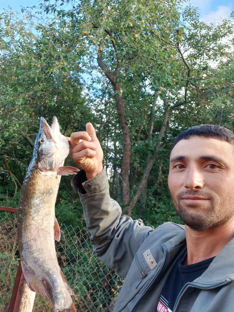 ���� 43285472 ������� �������, 39 ���, ���� ���������� � �����-����������