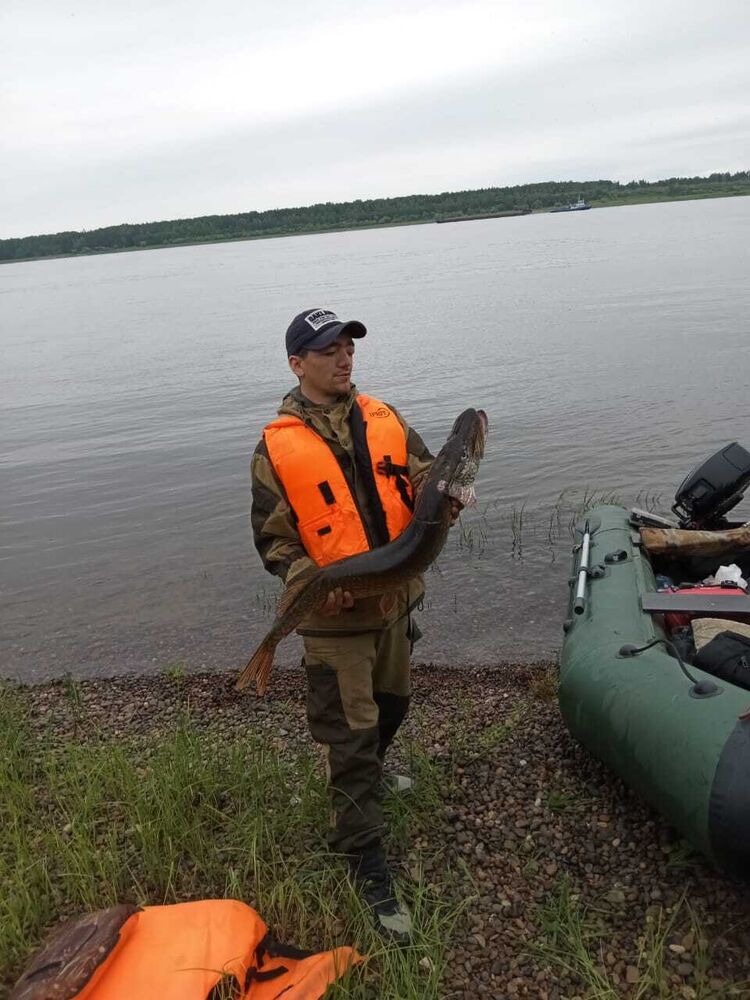 ���������� ����������, ���� ������� �����, 33 ����, ������������ ��� ������, ����� � ���������