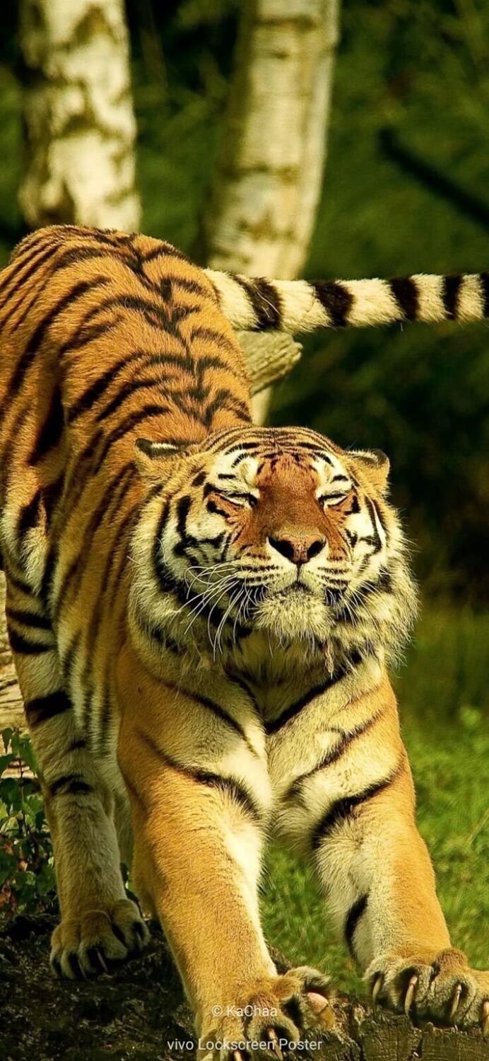 ���� 25276142 ������� ����, 39 ���, ���� ���������� � �����