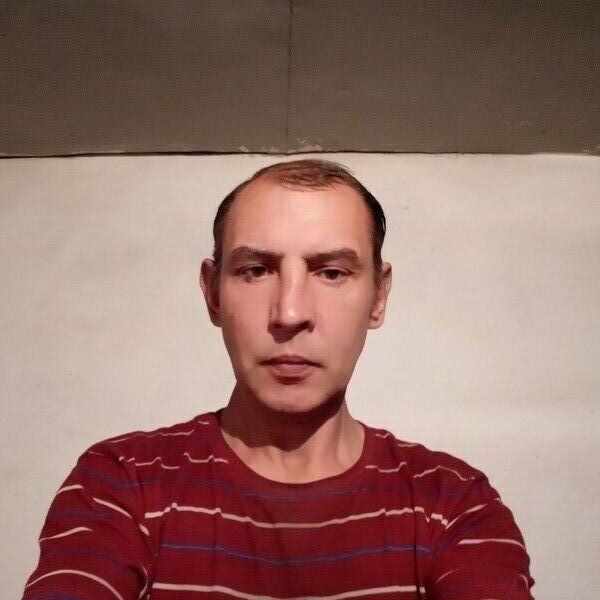 ���� 23043472 ������� �������, 50 ���, ���� ���������� � ������