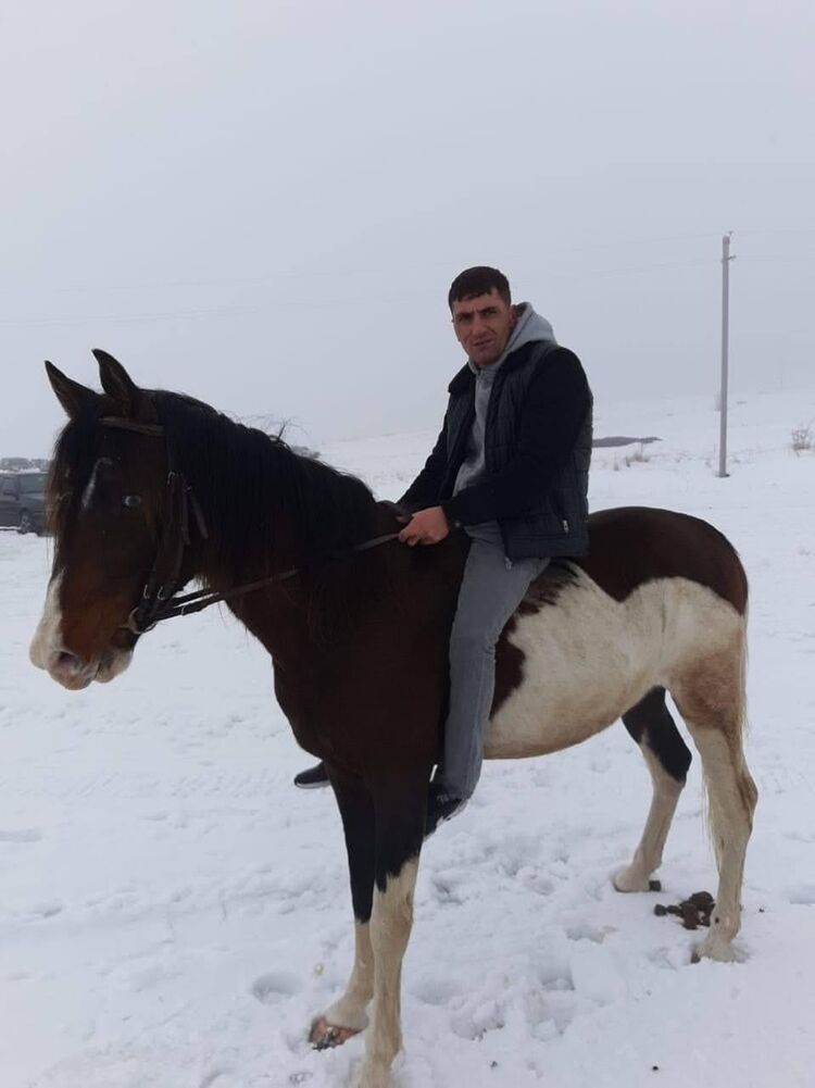 ���������� ������, ���� ������� TYOM, 33 ����, ������������ ��� ������, ����� � ���������