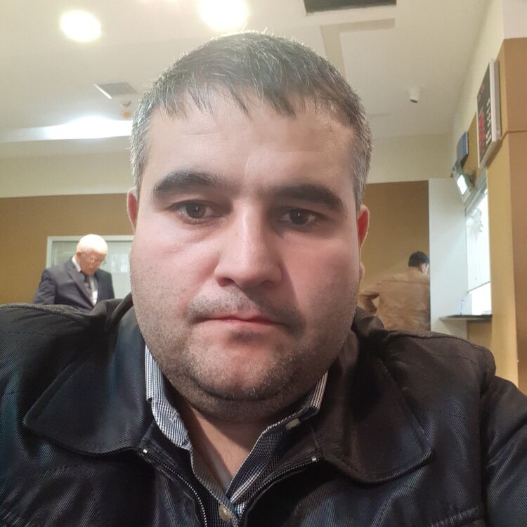  26526342  , 43 ,    