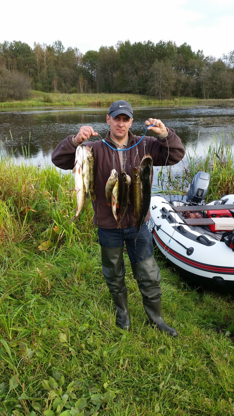 ���������� �����-���������, ���� ������� ������, 50 ���, ������������ ��� ������, ����� � ���������, c�������� ���������