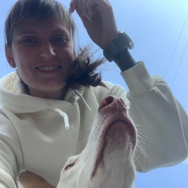 ���� 54591272 ������� ������, 34 ����, ���� ���������� � �����-����������