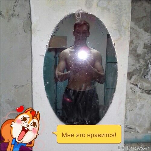  7437262   , 36 ,    
