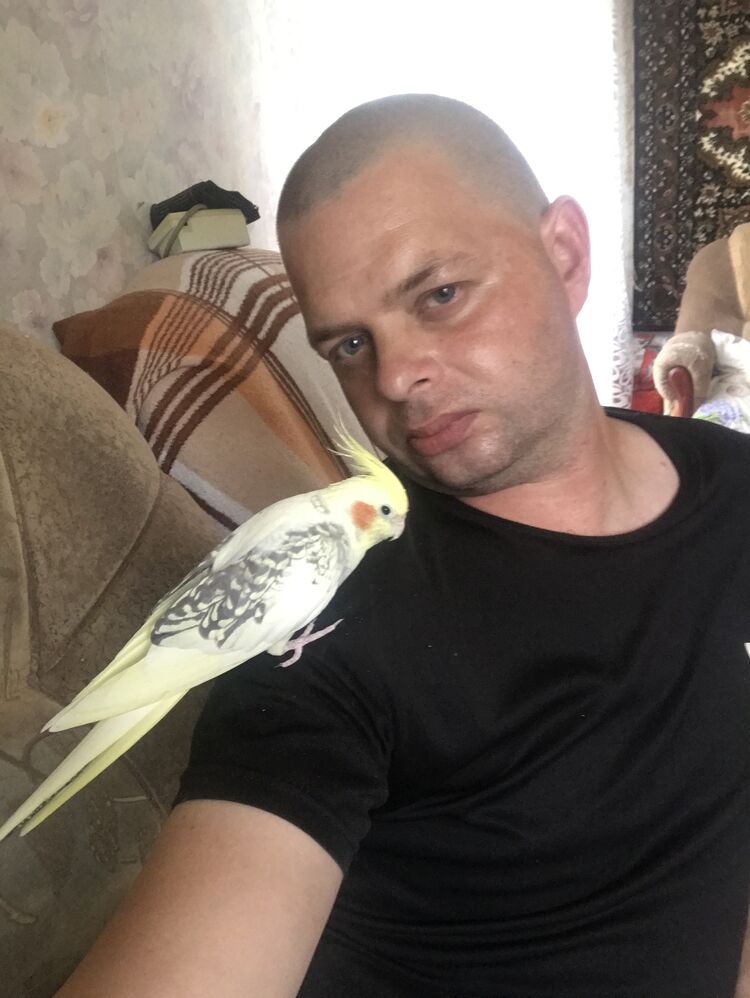  29550692  Ivan, 41 ,    