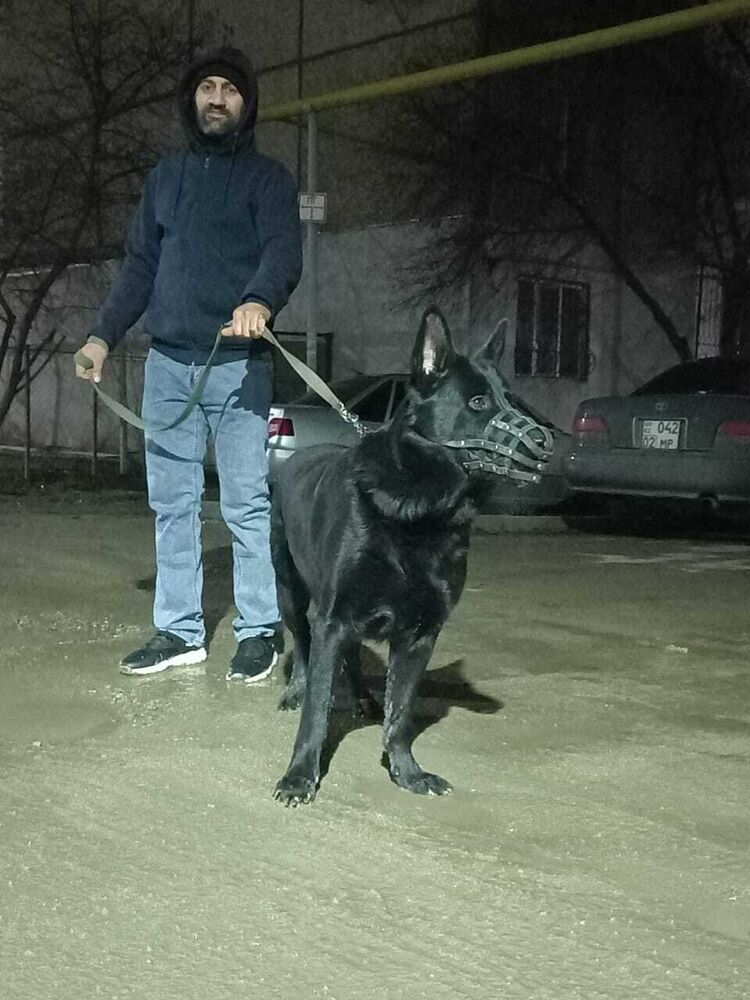 ���� 25666522 ������� �����, 41 ���, ���� ���������� � ������