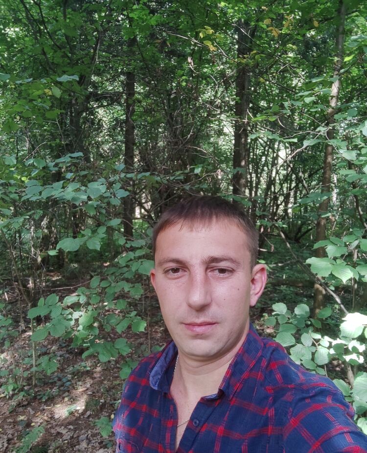  53363672  , 36 ,    