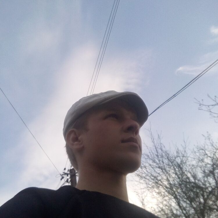  ,   , 29 ,  