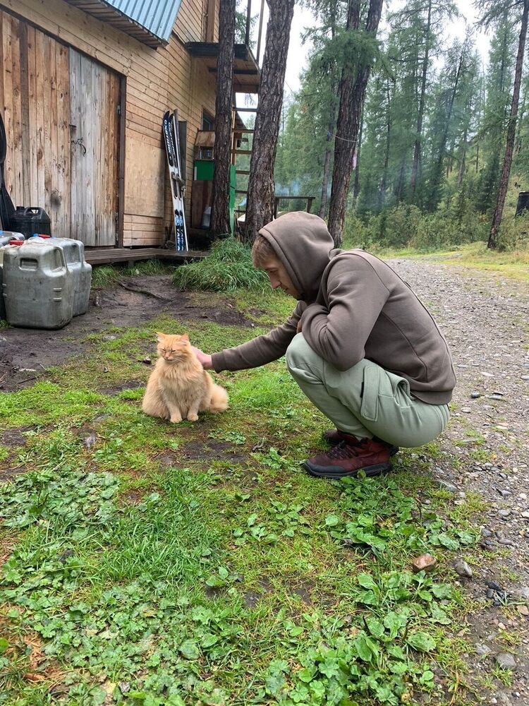 ���������� �����-���������, ���� ������� ���, 34 ����, ������������ ��� ������, ����� � ���������