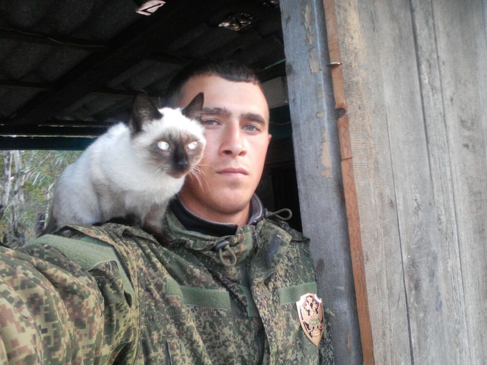 ���� 8145532 ������� ����, 31 ���, ���� ���������� � ����������