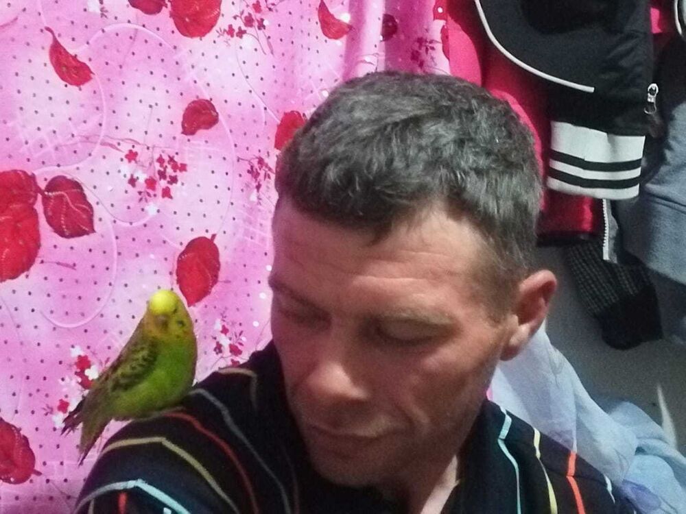  ,   , 46 ,   ,   , c 