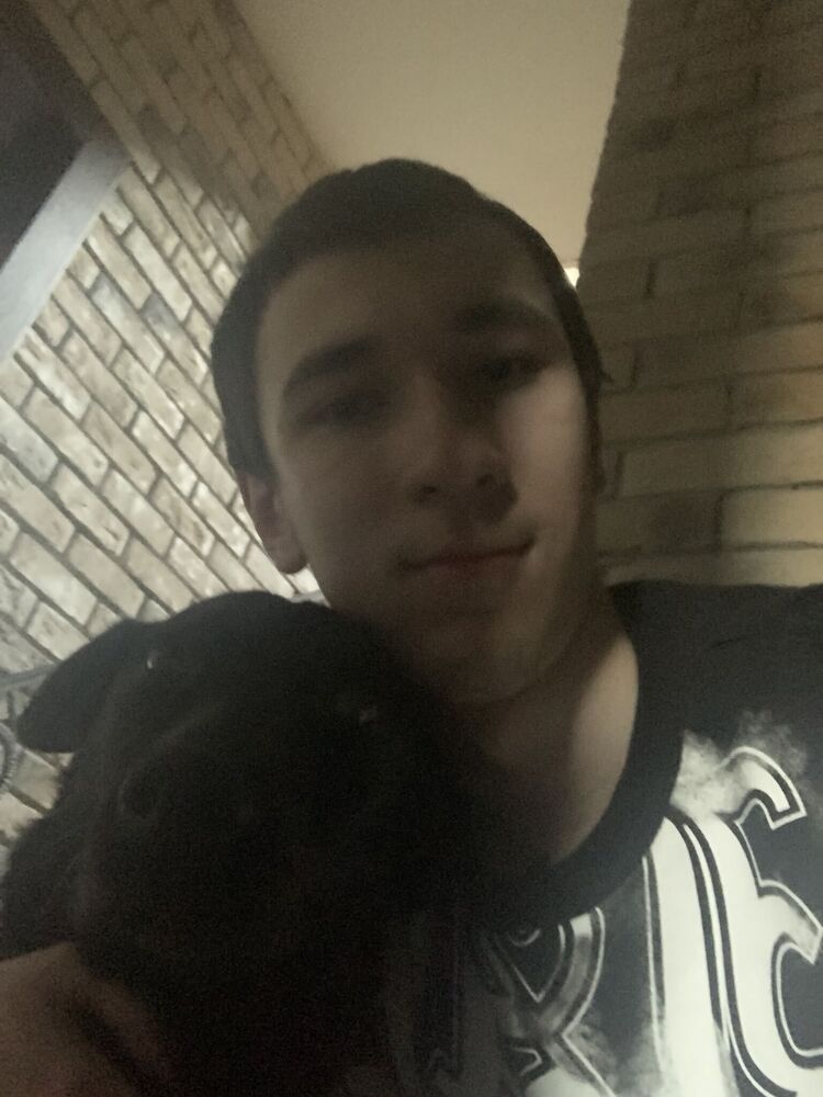 ���������� ������, ���� ����� ���, 20 ���, ������������ ��� ����� � ���������