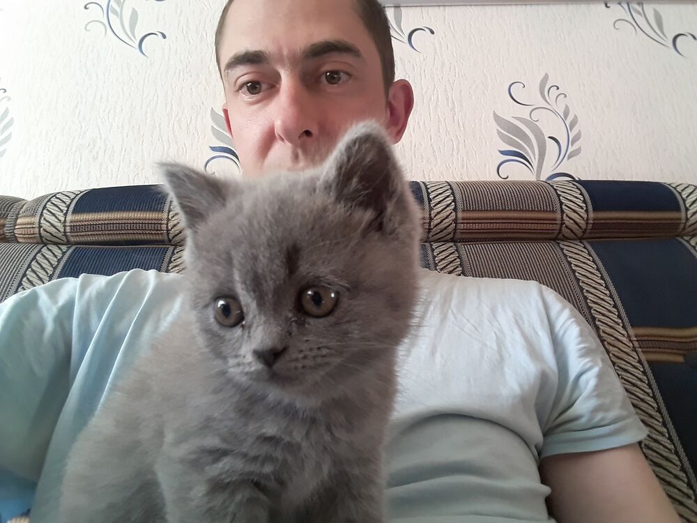 ���� 25039082 ������� �����, 43 ����, ���� ���������� � ������