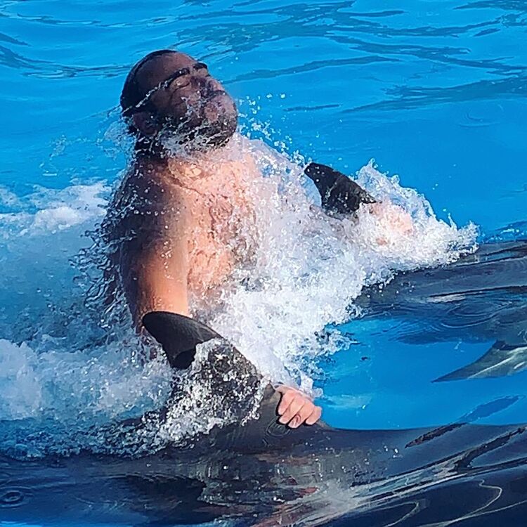 ���������� ������, ���� ������� �����, 38 ���, ������������ ��� ����� � ���������, c�������� ���������