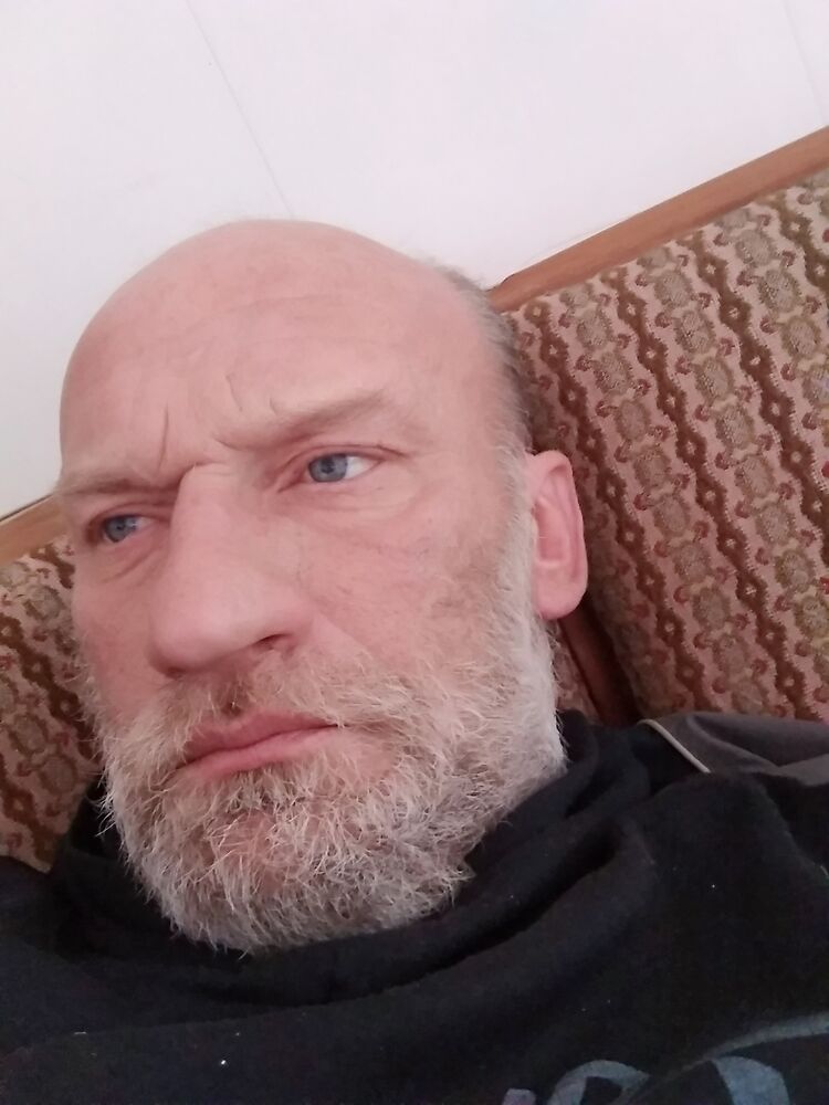 ���� 31115302 ������� ����, 49 ���, ���� ���������� � �������