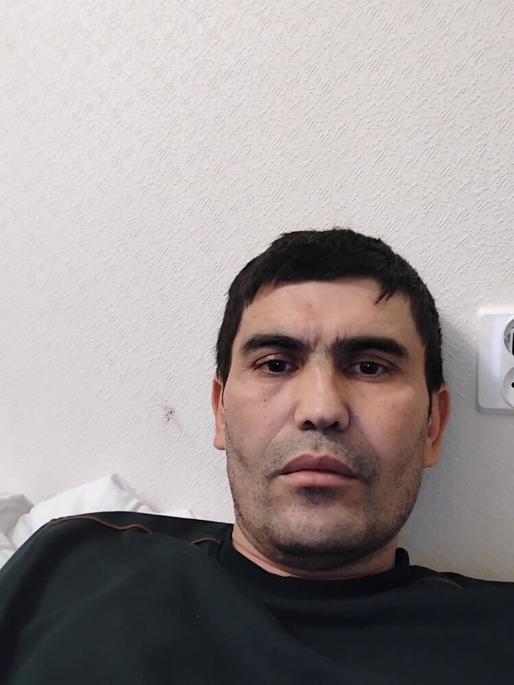  49628572  , 40 ,    -