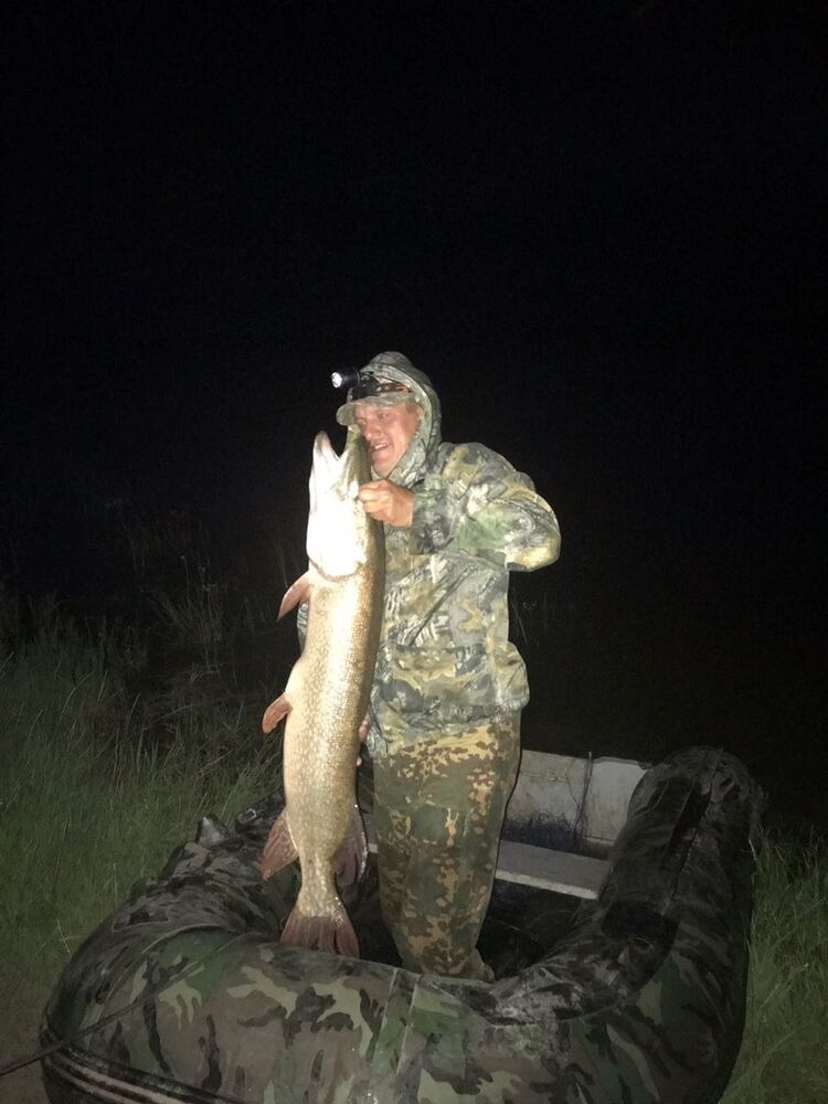 ���� 17620012 ������� ����, 41 ���, ���� ���������� � ������