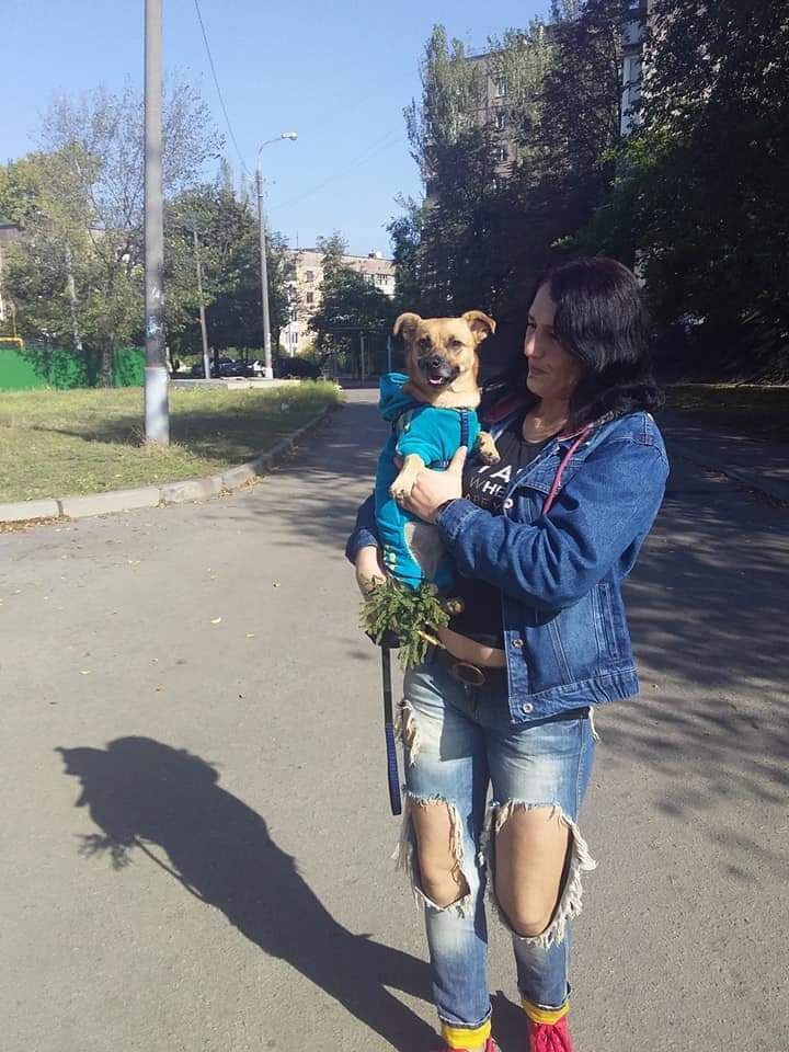 ���������� ������ ���, ���� ������� ���, 42 ����, ������������ ��� ������, ����� � ���������