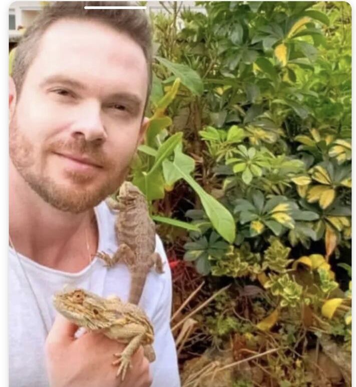 ���� 30625592 ������� �������, 45 ���, ���� ���������� � ������