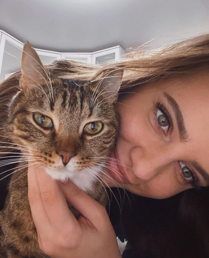 ���� 23337772 ������� ������, 28 ���, ���� ���������� � �����-����������