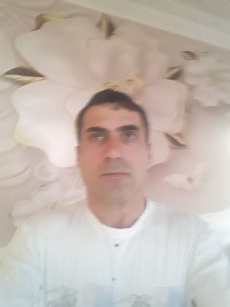  16650782  , 43 ,    