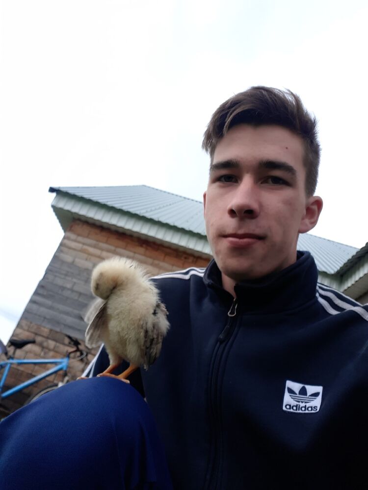 ���� 23431342 ������� �����, 26 ���, ���� ���������� � �����-����������