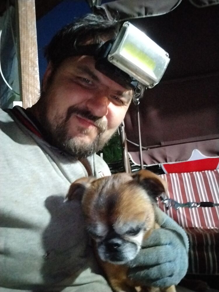 ���� 36291882 ������� ����, 43 ����, ���� ���������� � �����-����������