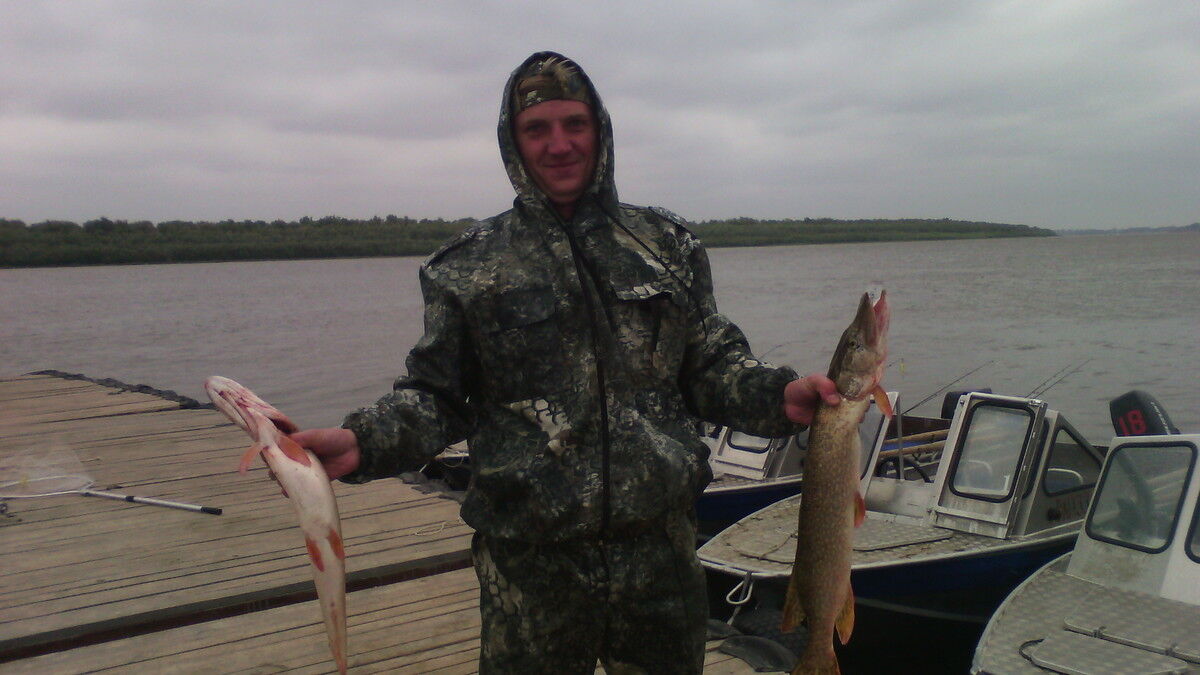 ���� 10454962 ������� �����, 40 ���, ���� ���������� � �������