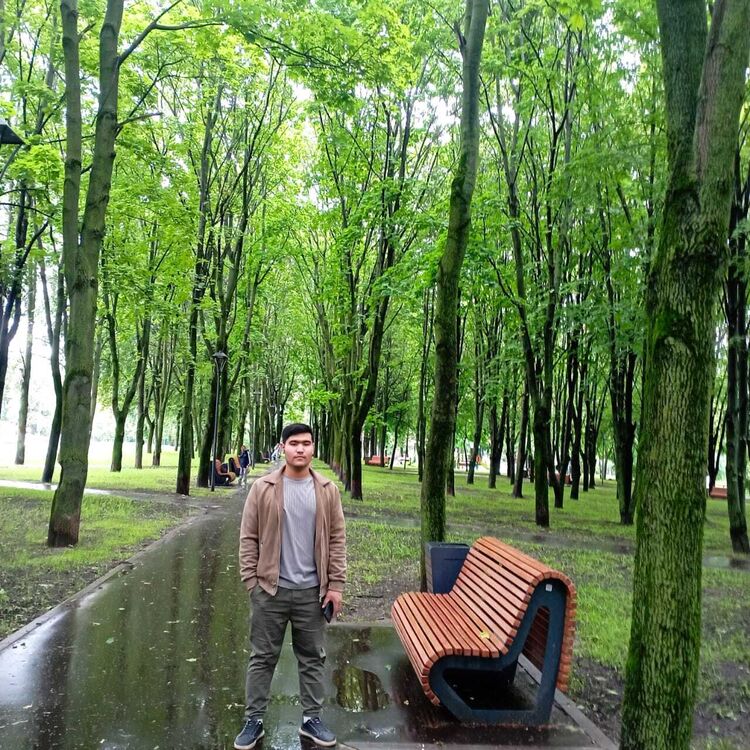 ���������� ������, ���� ����� Donni, 25 ���, ������������ ��� ������, ����� � ���������