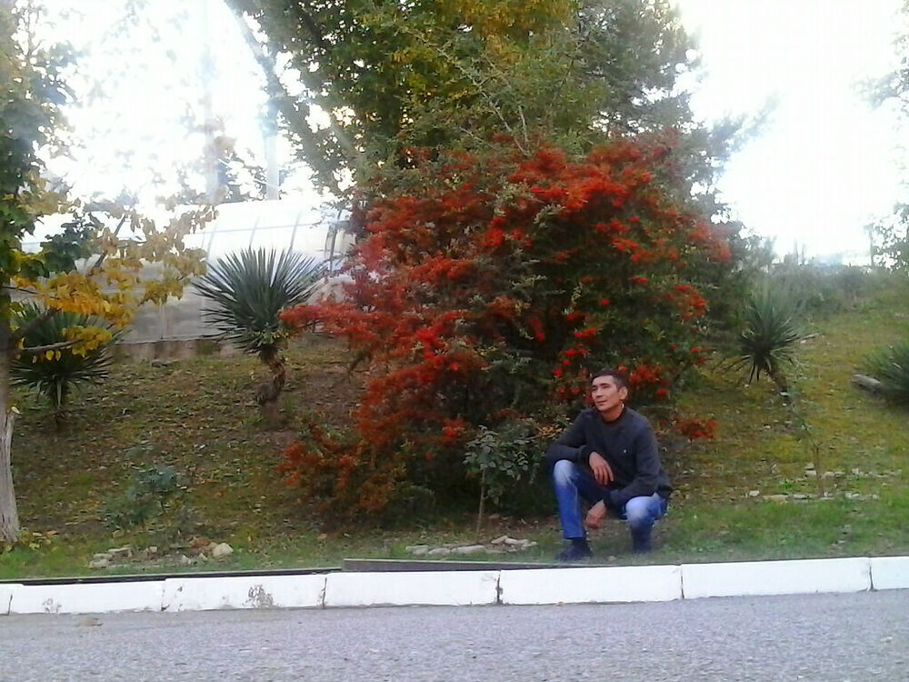 21800282  , 51 ,    