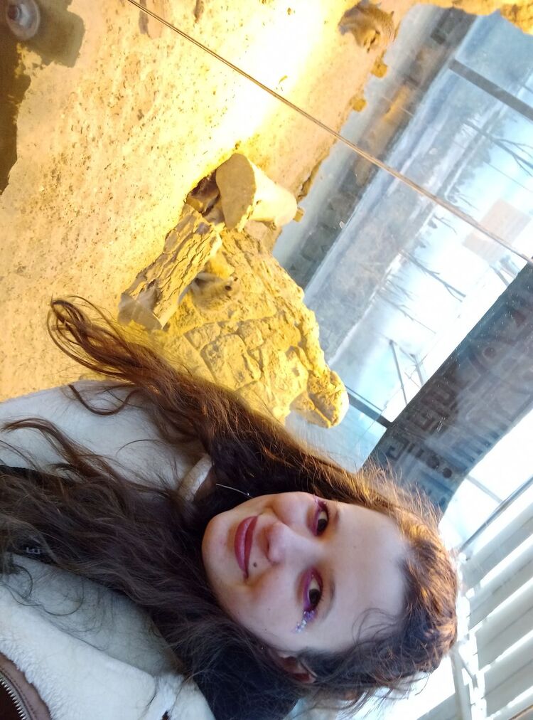  ,   , 26 ,     , c 