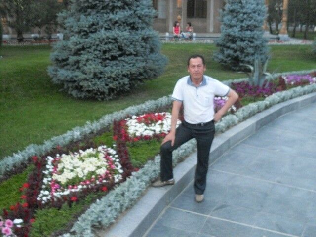 ���������� ������, ���� ������� Doni, 43 ����, ������������ ��� ������