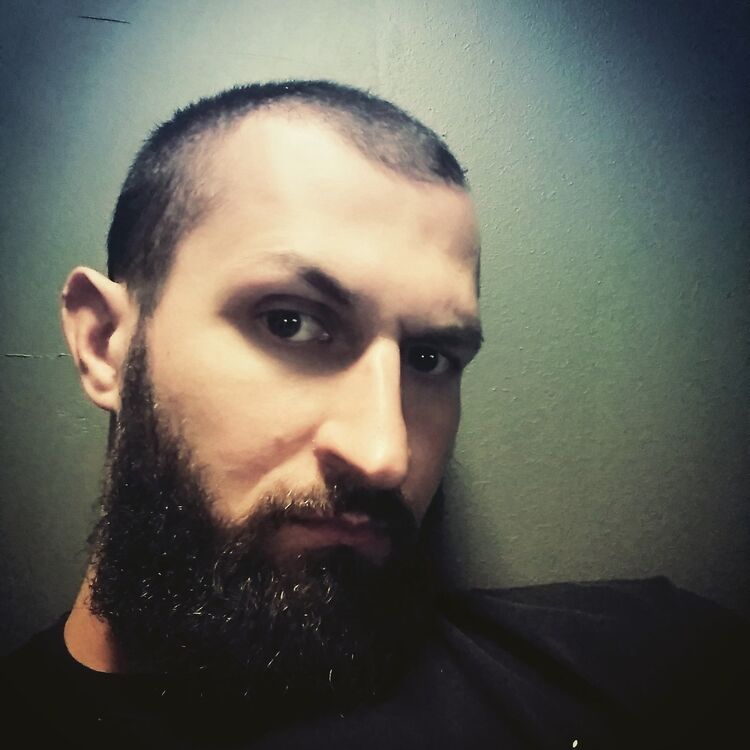 ���� 17050402 ������� ����, 41 ���, ���� ���������� � ������