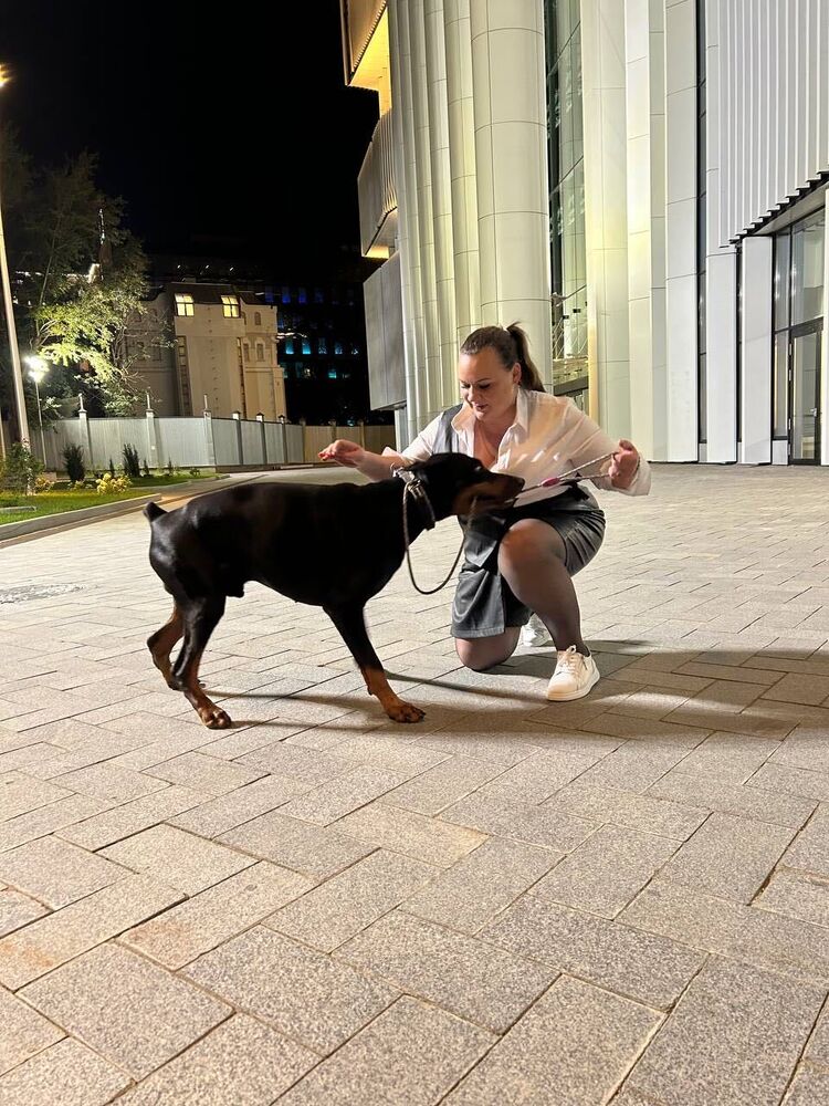 ���������� ������, ���� ������� �������, 33 ����, ������������ ��� ������, ����� � ���������, c�������� ���������