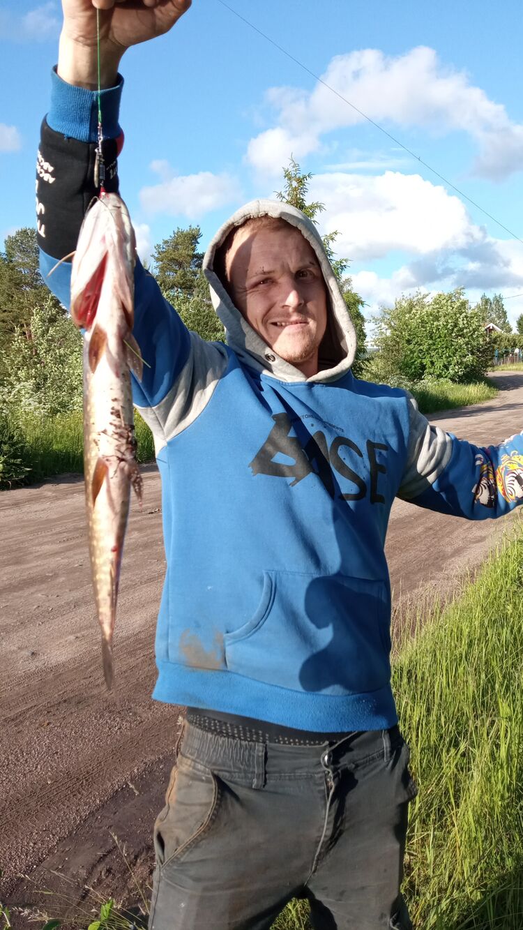  -,   , 33 ,   ,   