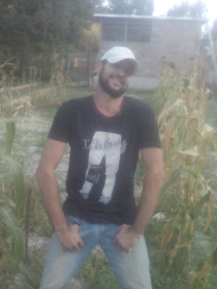  13685372  , 44 ,    