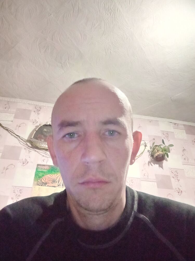  41791222  , 38 ,    