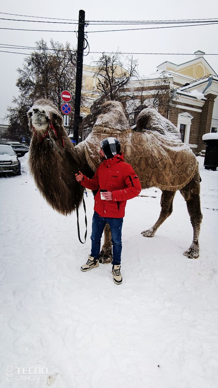 ���������� ���������, ���� ������� Anton, 29 ���, ������������ ��� ������, ����� � ���������, c�������� ���������, ���������