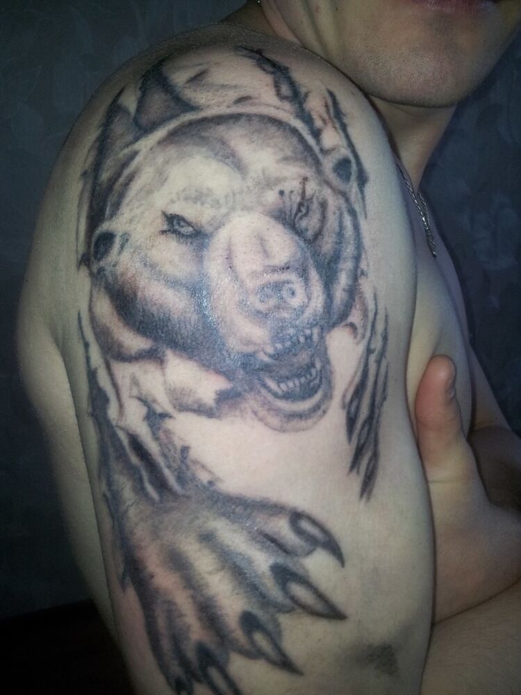 ���� 5048542 ������� ������, 35 ���, ���� ���������� � ���������