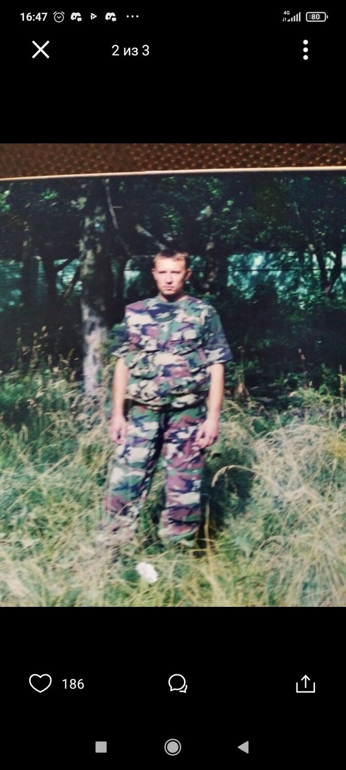  31986512  , 53 ,    