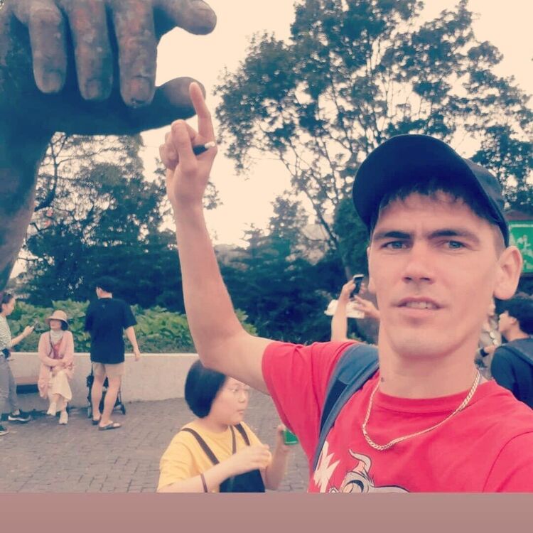  38826682  , 44 ,    