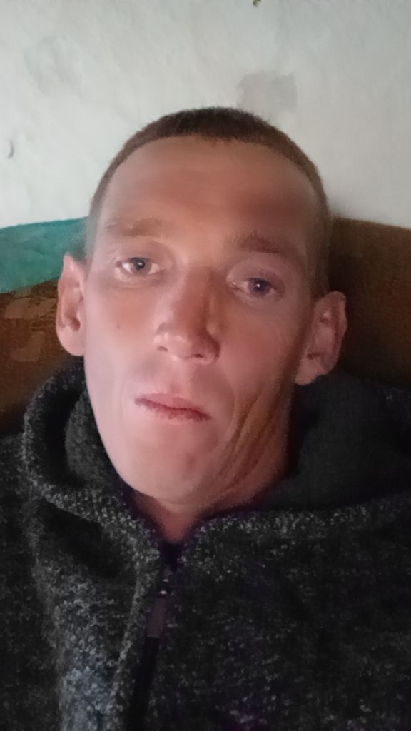  53343622  , 32 ,    