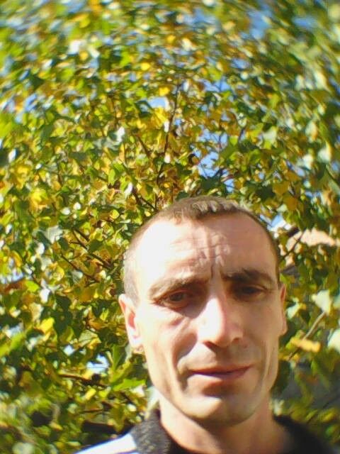  ,   , 40 ,   
