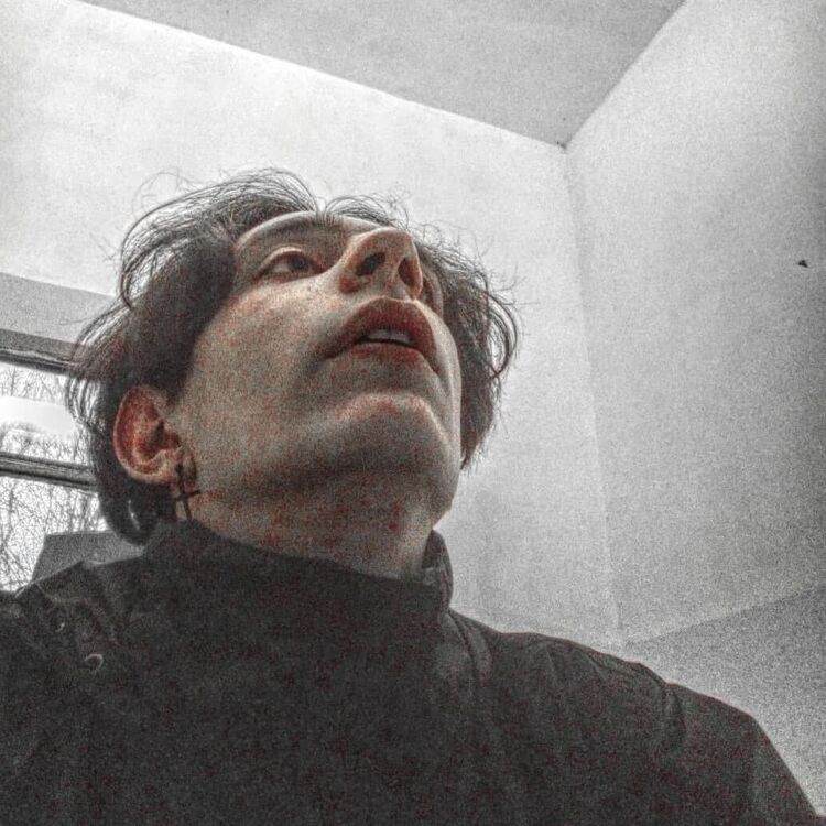 ���������� �����������, ���� ����� ������, 23 ����, ������������ ��� ������, ����� � ���������