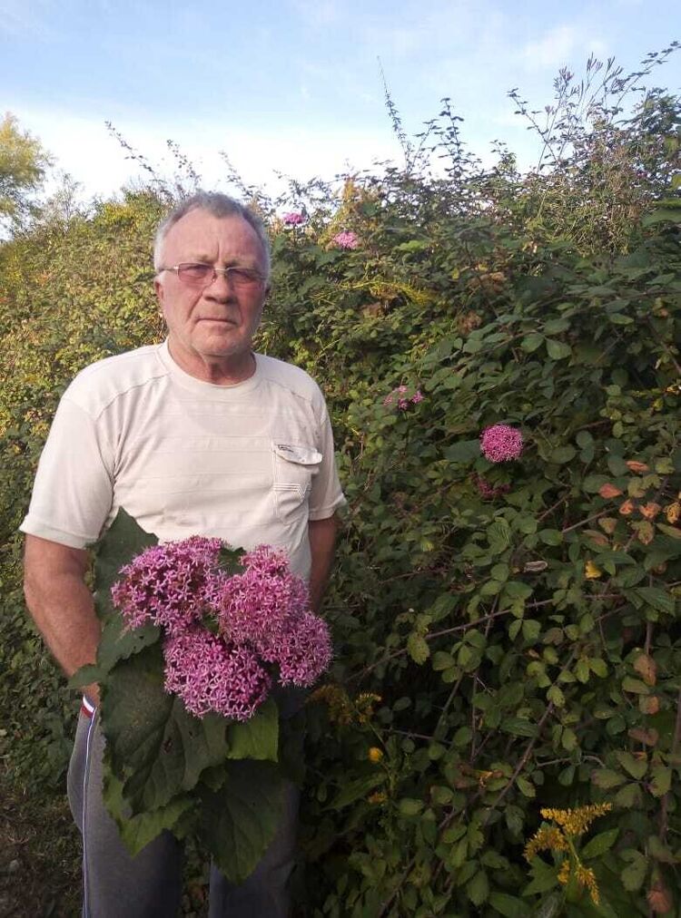 ���������� ������ �����, ���� ������� ���������, 103 ����, ������������ 