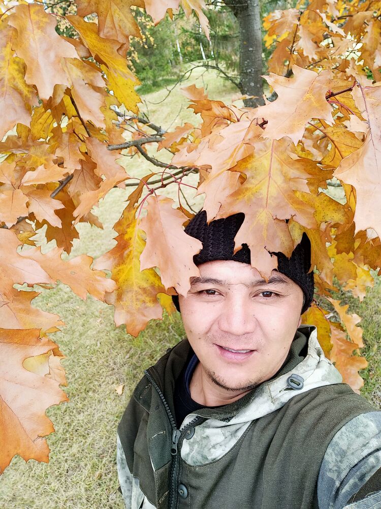 ���� 26701092 ������� ������, 44 ����, ���� ���������� � �������