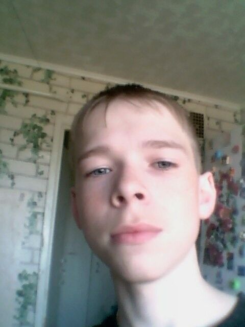  8508112  , 28 ,    