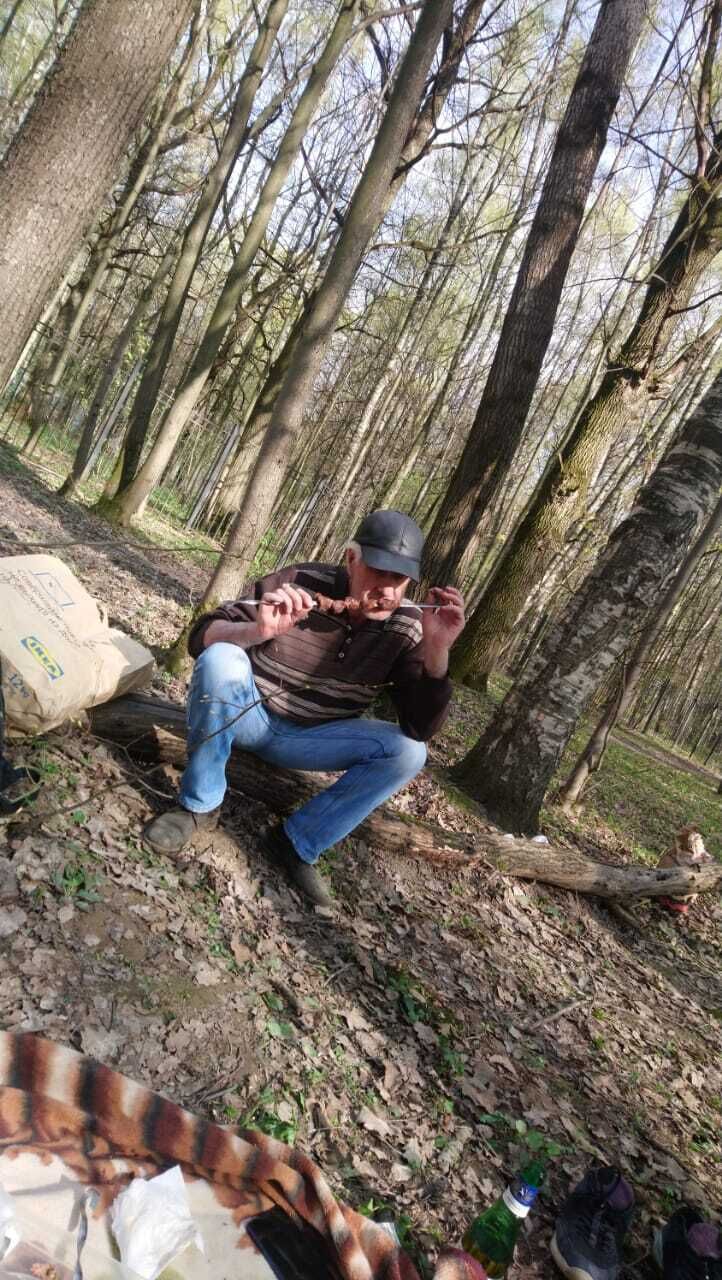  26963692  , 51 ,    