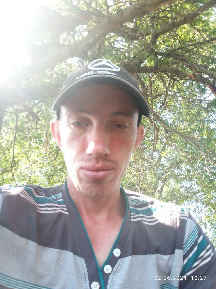  43606152  , 33 ,    